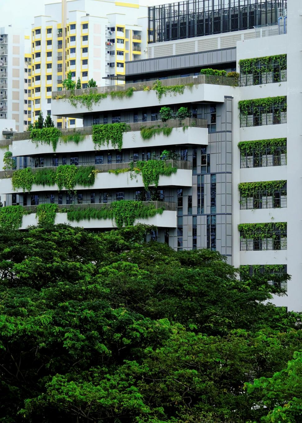 Green Certifications